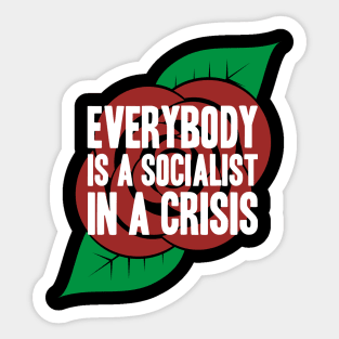 Everybody is a Socialist in a Crisis Sticker